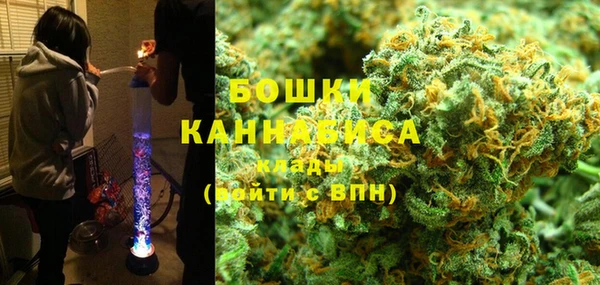 хмурый Аркадак