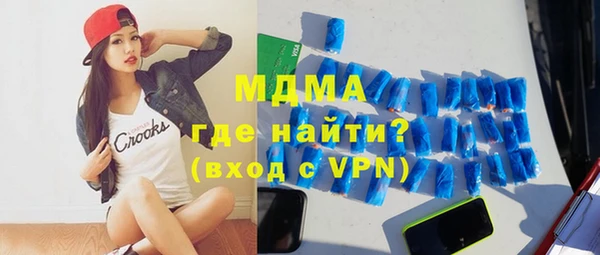 хмурый Аркадак