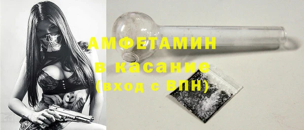 хмурый Аркадак