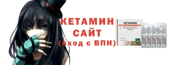 хмурый Аркадак