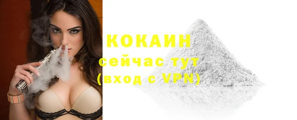 хмурый Аркадак