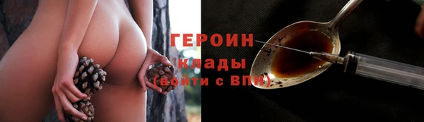 хмурый Аркадак