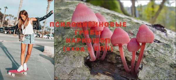 хмурый Аркадак
