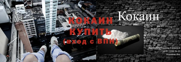 хмурый Аркадак