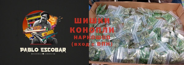 Альфа ПВП Горняк