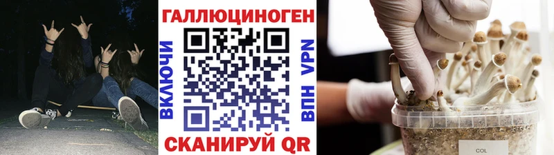закладка  площадка формула  Галлюциногенные грибы Psilocybine cubensis  Макарьев 